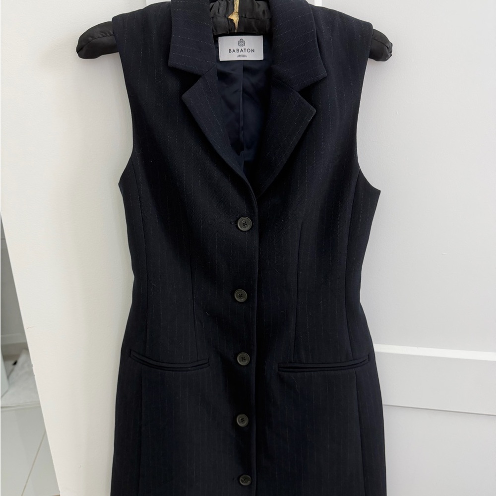 Aritzia Babaton Navy Pinstripe Sleeveless Mini Dress